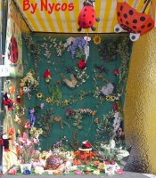 Click to enlarge Coccinella 011.jpg